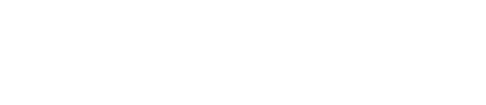 light logo